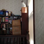 cat on box on bookcase