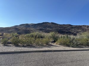 View on Texas FM 170